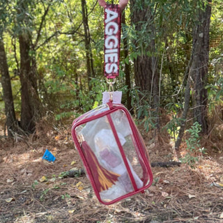 Maroon Clear PU Cross Body Camera Bag